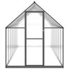 vidaXL Greenhouse Anthracite and clear Aluminum, polycarbonate Large