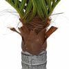vidaXL Artificial Palm Tree Green