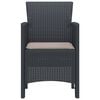 vidaXL Garden Chair 4 pcs Anthracite 20.87 x 19.29 x 33.46 in
