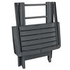 vidaXL Garden Bistro Set Anthracite Plastic Compact Foldable