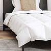 vidaXL Summer Duvet with Pillow 2 pcs White Down Feather