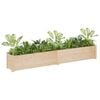 vidaXL Planter Set of 2 Natural pine wood Solid pinewood Large Durable