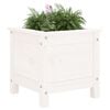 vidaXL Garden Planter White Solid Pine Wood 15.7 x 15.7 x 15.4 in