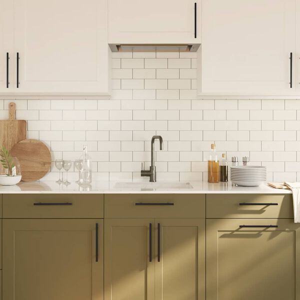 vidaXL Cabinet Handle Set of 10 Black Stainless steel 8.8 in long