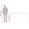 vidaXL Garden Raised Bed Grey Wood-plastic composite 59.1 x 39.4 x 35.8 in