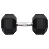 vidaXL Dumbbell 49.6 lb Cast Iron