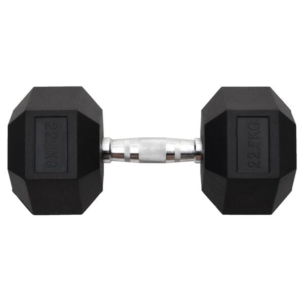 vidaXL Dumbbell 49.6 lb Cast Iron