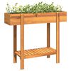vidaXL Garden Raised Bed Natural wood Solid acacia wood Compact