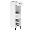 vidaXL Shoe Cabinet White Engineered wood Tall and slim Shoe Cabinet