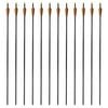 vidaXL Standard Compound Bow Arrows 30" 0.3 " Fiberglass 12 pcs