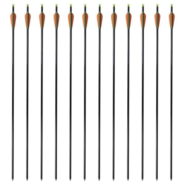 vidaXL Standard Compound Bow Arrows 30" 0.3 " Fiberglass 12 pcs