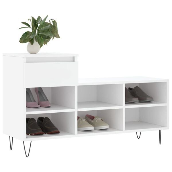 vidaXL Shoe Cabinet White Engineered Wood, Metal Medium