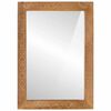 vidaXL Bathroom Mirror with Mirror Light Brown 27.56 x 19.69 x 0.98 in