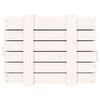 vidaXL Storage Box White Solid pine wood Medium Storage Box
