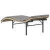 vidaXL Sun Lounger Beige PE rattan, powder-coated steel Large