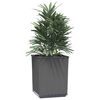 vidaXL Planter Set of 4 Black Polypropylene Medium Decorative Inlays