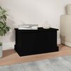 vidaXL Storage Box Black Engineered wood Medium Storage Box