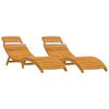 vidaXL Sun lounger Folding 2 pcs Brown 21.65 x 72.44 x 25.20 in