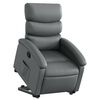 vidaXL Stand Up Recliner Chair Gray