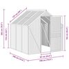 vidaXL Greenhouse Anthracite and Transparent Aluminum and Polycarbonate