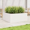 vidaXL Garden Planter White Solid pine wood Plenty of space