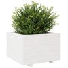 vidaXL Garden Planter White Solid pine wood Medium Decorative Inlays