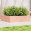 vidaXL Garden Planter Natural Wood Solid Douglas Fir Wood Large