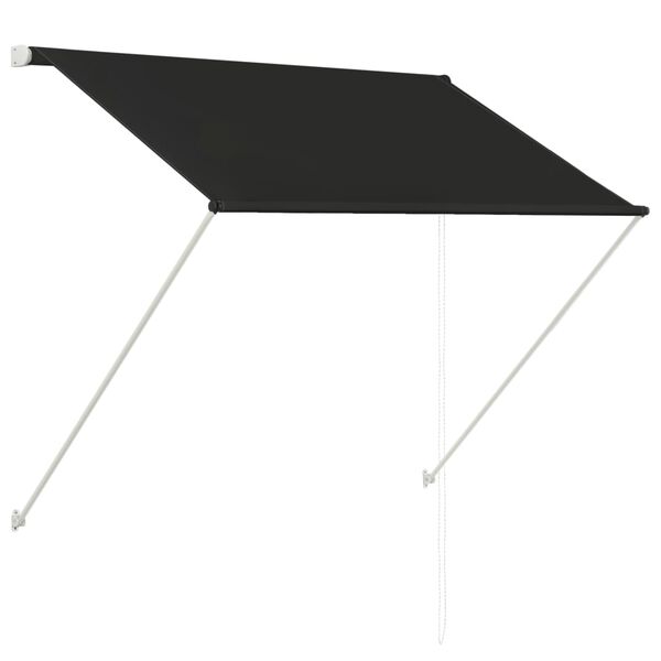 vidaXL Awning Anthracite