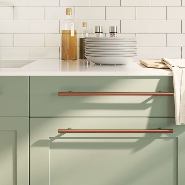 vidaXL Cabinet Handle Set of 10 Bronze Stainless Steel Medium