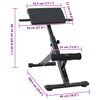 vidaXL Hyperextension Bench Black 101 x 70 x 71 cm Powder-coated steel