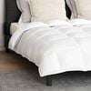 vidaXL Duvet Set with Pillow 3 pcs White Down Feather
