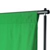 vidaXL Backdrop Support System 196.9"x118.1" Green