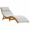 vidaXL Sun lounger Folding 2 pcs Light Grey Solid Acacia Wood