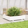 vidaXL Garden Planter White Solid pinewood Large Decorative Inlays