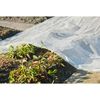 Nature Plant Cover Transparent Polyethylene (LDPE) 13.1 x 19.7 ft