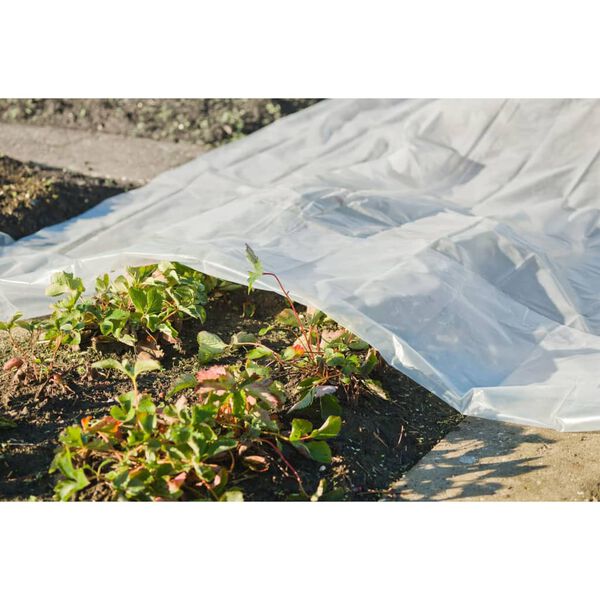 Nature Plant Cover Transparent Polyethylene (LDPE) 13.1 x 19.7 ft