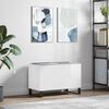 vidaXL Record Cabinet Glossy White Engineered wood, Iron Medium