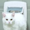 PetSafe Cat Flap White Plastic Standard Adjustable Armrests Cat Flap