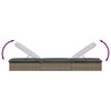 vidaXL Patio Sunbed Set of 2 Gray PE rattan Standard