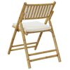 vidaXL Bistro Chair Set of 2 Cream white Bamboo Standard Foldable