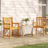 vidaXL Garden Chair Set of 2 Natural Wood Solid Acacia wood Durable
