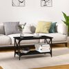 vidaXL Coffee Table Black Engineered wood, Iron