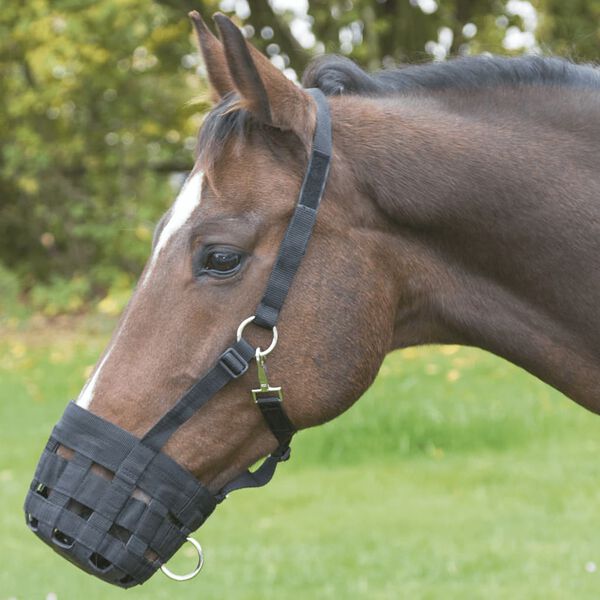 Covalliero Horse Muzzle Black Nylon Shetty size Durable Horse Muzzle