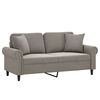 vidaXL 2-Seater Sofa with Pillows&Cushions Light Gray 55.1" Velvet