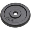 vidaXL Weight Plates 4 pcs 2x22.0 lb+2x11.0 lb Cast Iron
