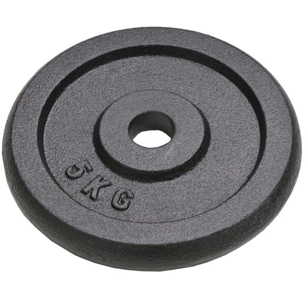 vidaXL Weight Plates 4 pcs 2x22.0 lb+2x11.0 lb Cast Iron