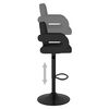 vidaXL Bar Stool Set of 2 Black