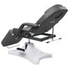vidaXL Massage Table Gray 70.9"x24.4"x(34.1"-46.5")