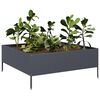 vidaXL Garden Raised Bed Anthracite Steel Medium Durable