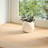 vidaXL Window Sills 2 pcs Untreated 27.6x15.7x0.8" Solid Wood Oak